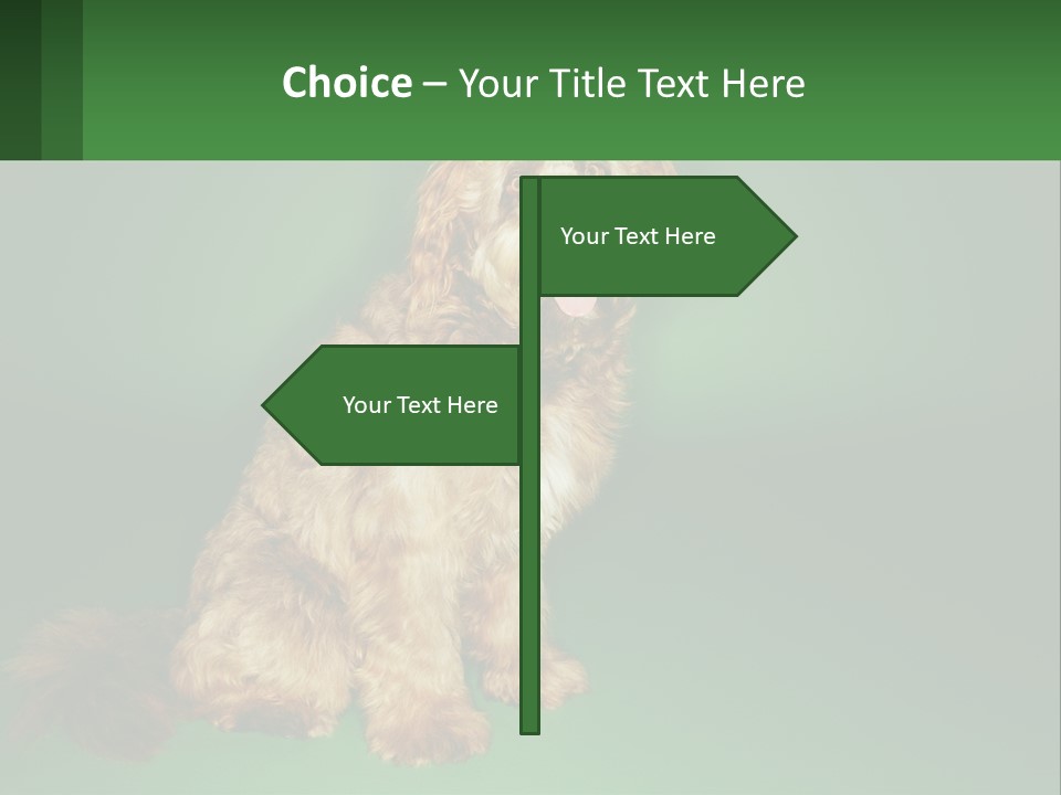A Brown Dog Sitting On Top Of A Green Background PowerPoint Template