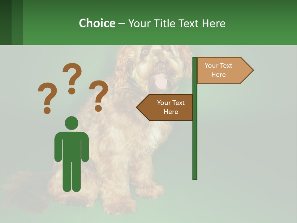 A Brown Dog Sitting On Top Of A Green Background PowerPoint Template
