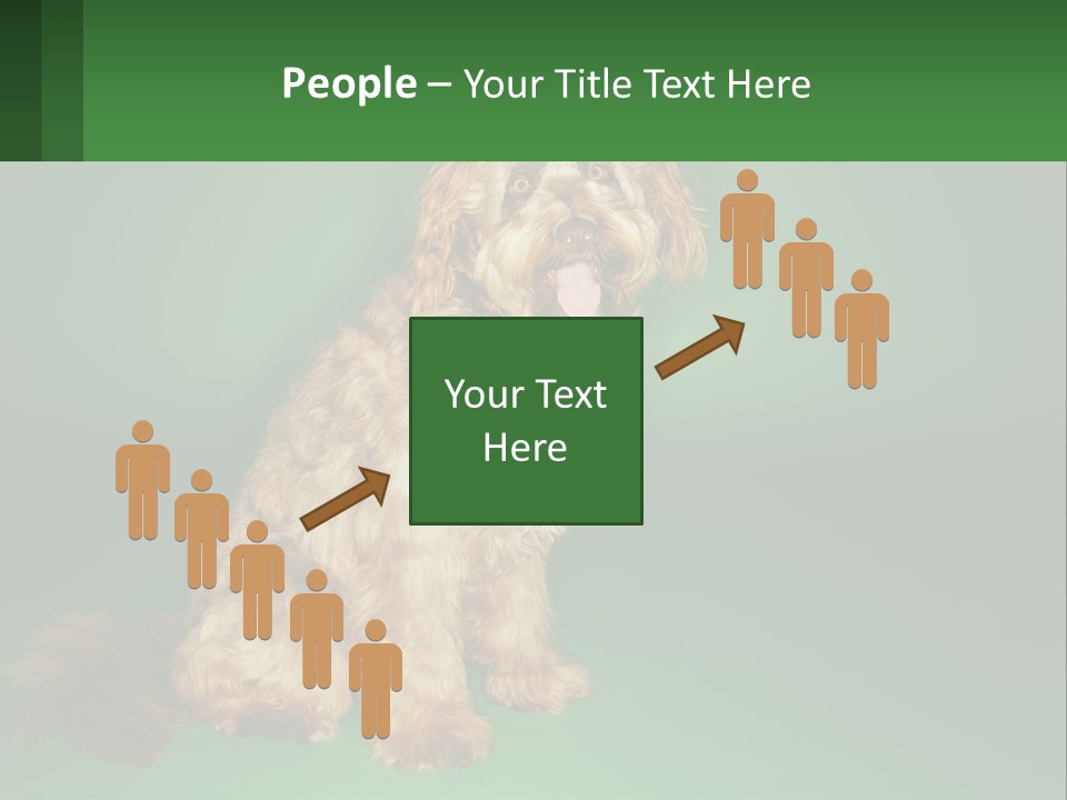 A Brown Dog Sitting On Top Of A Green Background PowerPoint Template
