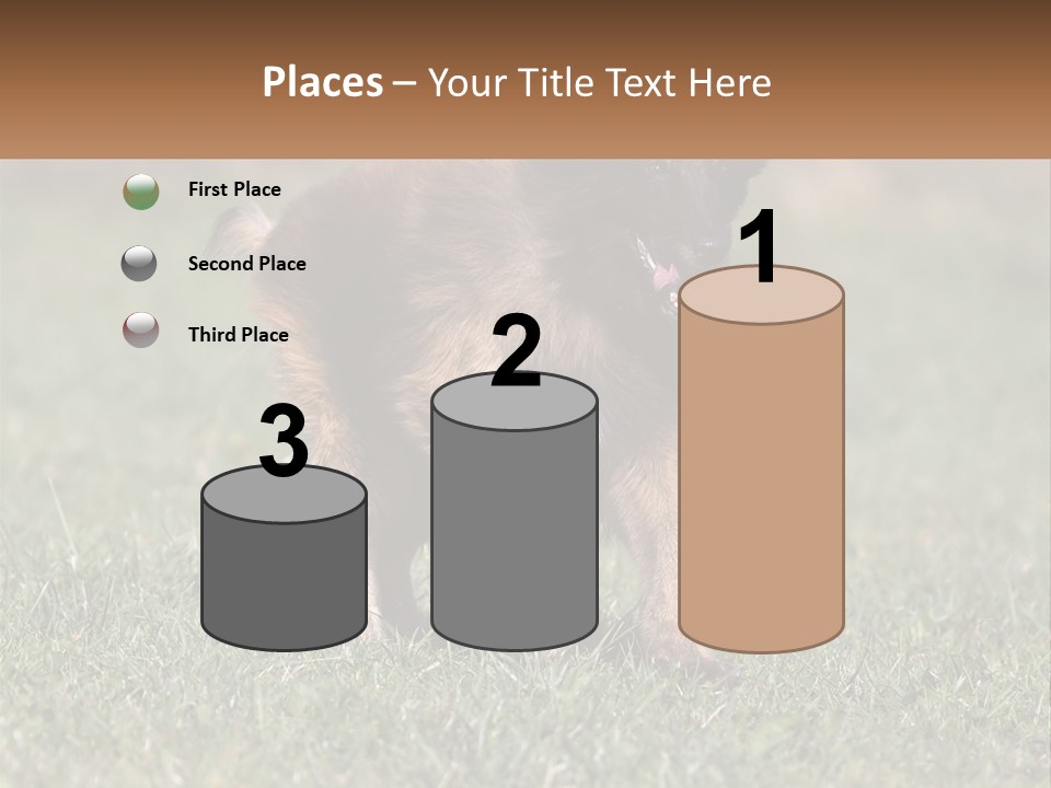 A Brown And Black Dog Standing On Top Of A Lush Green Field PowerPoint Template