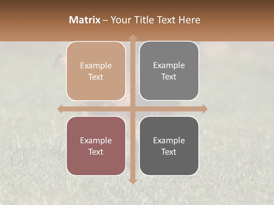 A Brown And Black Dog Standing On Top Of A Lush Green Field PowerPoint Template