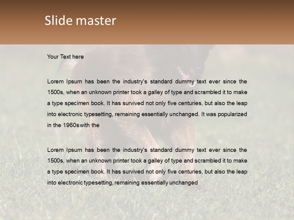 A Brown And Black Dog Standing On Top Of A Lush Green Field PowerPoint Template