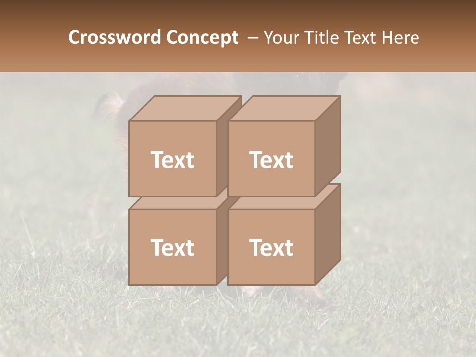 A Brown And Black Dog Standing On Top Of A Lush Green Field PowerPoint Template