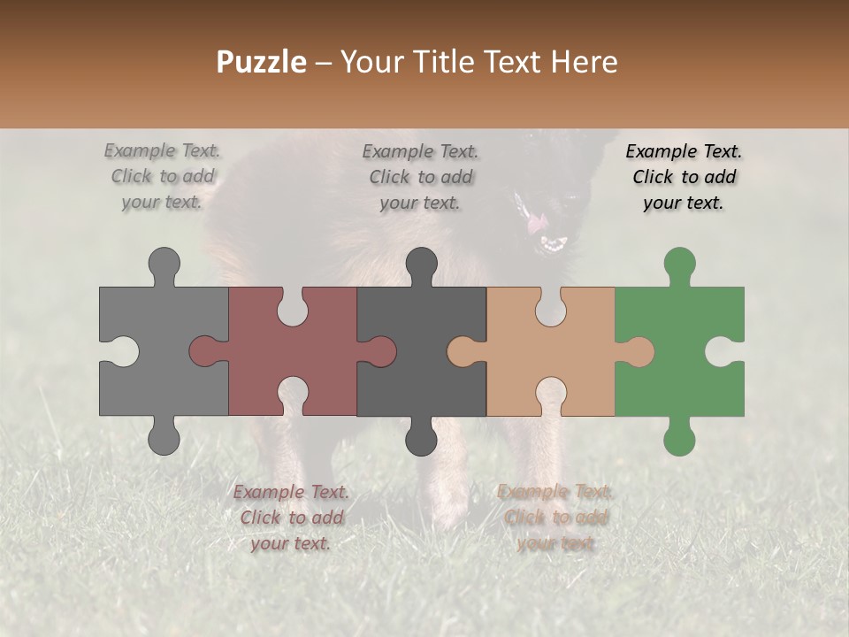 A Brown And Black Dog Standing On Top Of A Lush Green Field PowerPoint Template