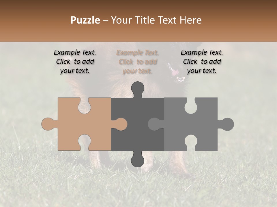 A Brown And Black Dog Standing On Top Of A Lush Green Field PowerPoint Template