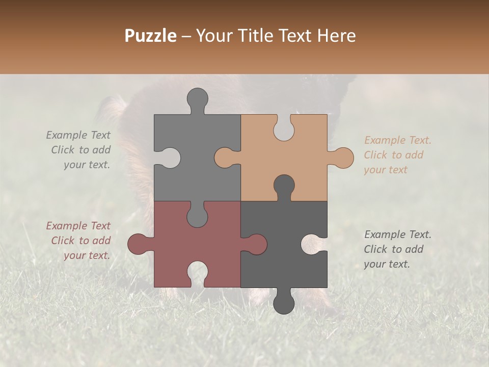 A Brown And Black Dog Standing On Top Of A Lush Green Field PowerPoint Template