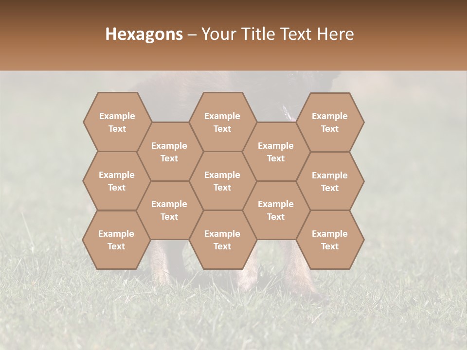 A Brown And Black Dog Standing On Top Of A Lush Green Field PowerPoint Template