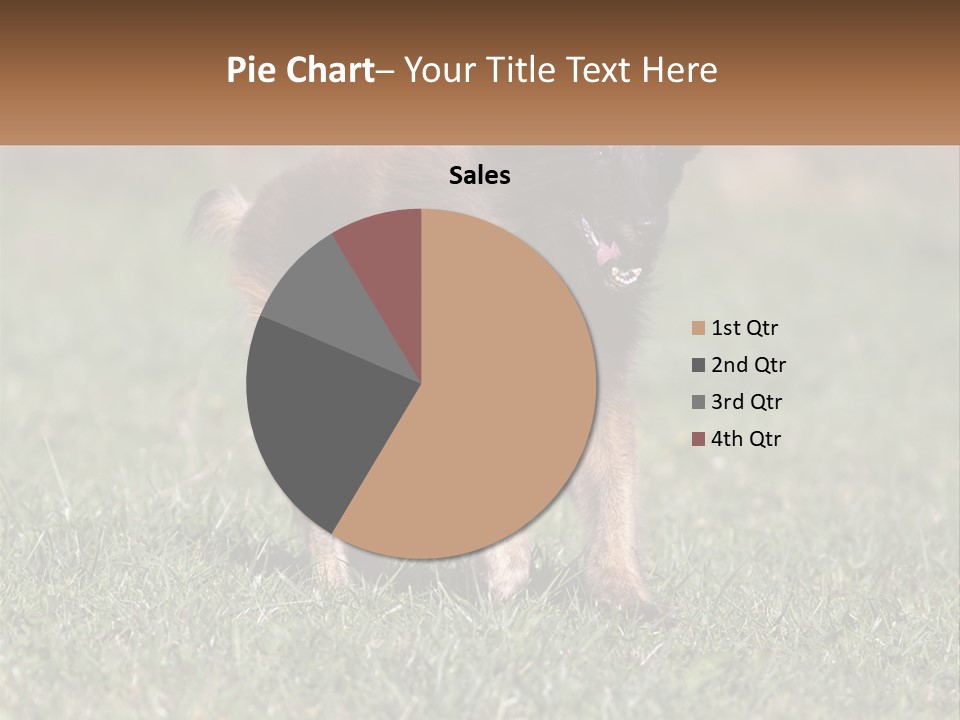 A Brown And Black Dog Standing On Top Of A Lush Green Field PowerPoint Template
