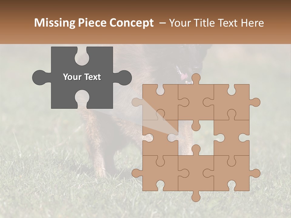 A Brown And Black Dog Standing On Top Of A Lush Green Field PowerPoint Template