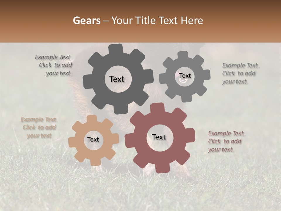 A Brown And Black Dog Standing On Top Of A Lush Green Field PowerPoint Template