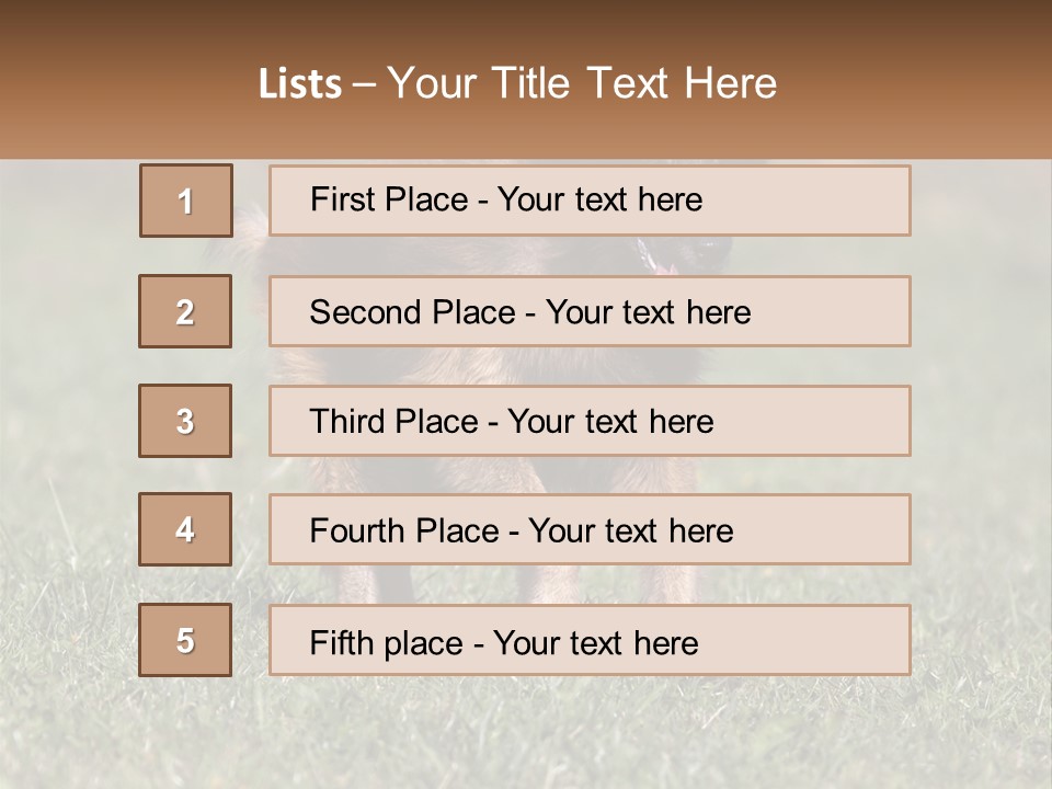A Brown And Black Dog Standing On Top Of A Lush Green Field PowerPoint Template