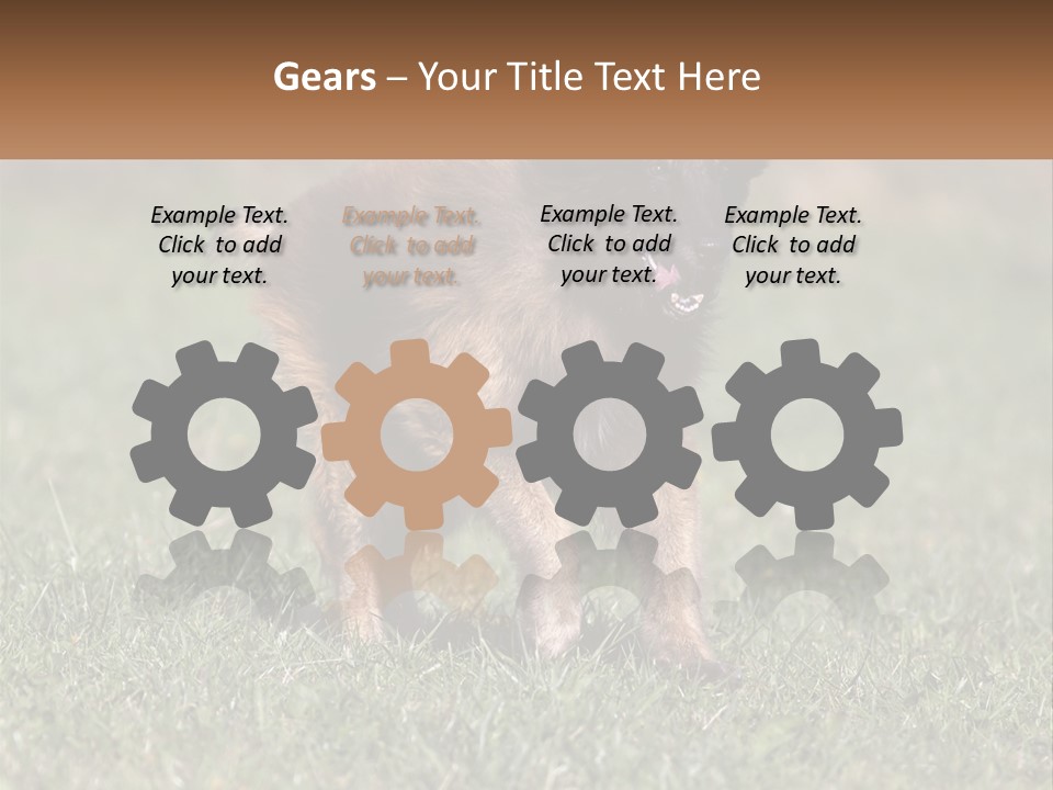 A Brown And Black Dog Standing On Top Of A Lush Green Field PowerPoint Template