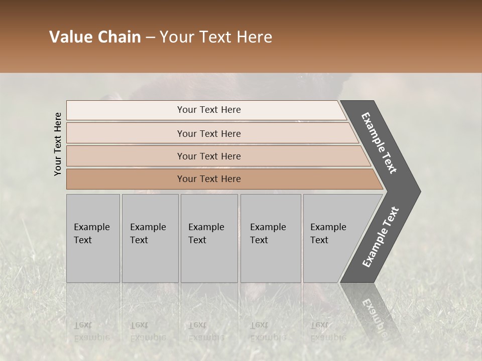A Brown And Black Dog Standing On Top Of A Lush Green Field PowerPoint Template