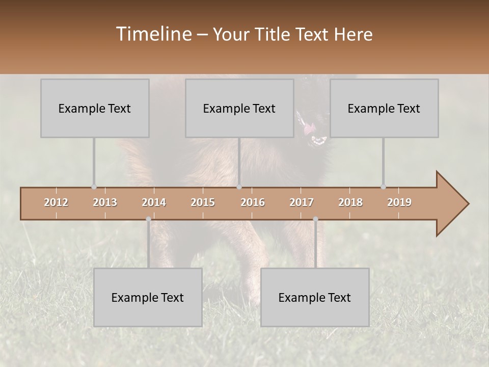 A Brown And Black Dog Standing On Top Of A Lush Green Field PowerPoint Template