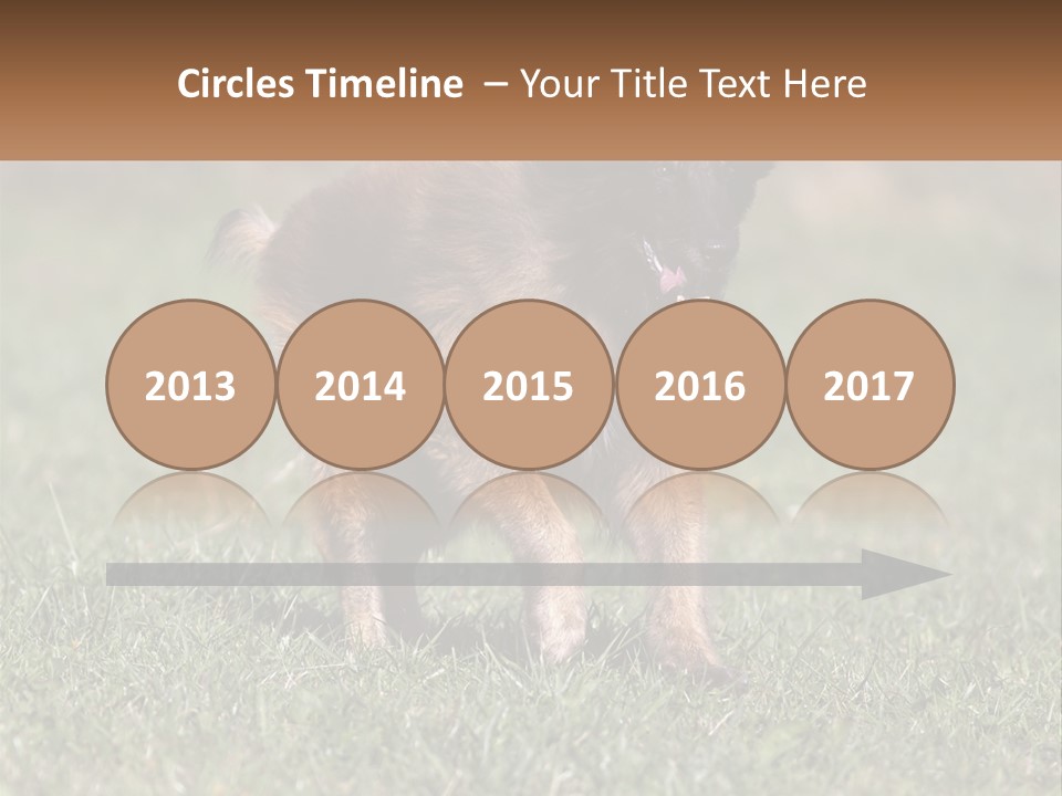 A Brown And Black Dog Standing On Top Of A Lush Green Field PowerPoint Template