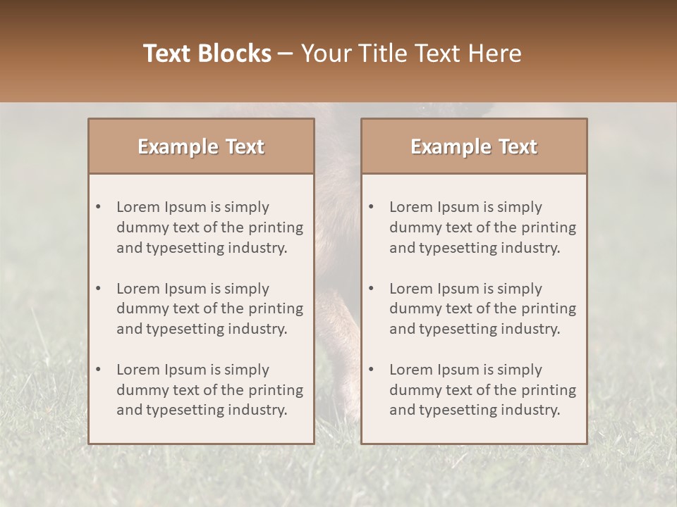 A Brown And Black Dog Standing On Top Of A Lush Green Field PowerPoint Template