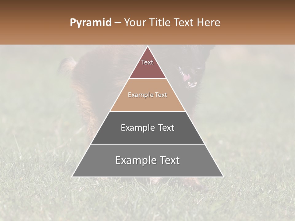 A Brown And Black Dog Standing On Top Of A Lush Green Field PowerPoint Template