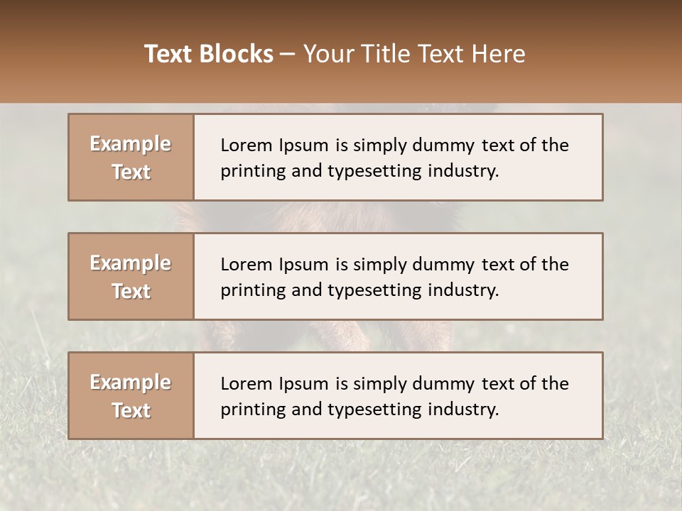 A Brown And Black Dog Standing On Top Of A Lush Green Field PowerPoint Template