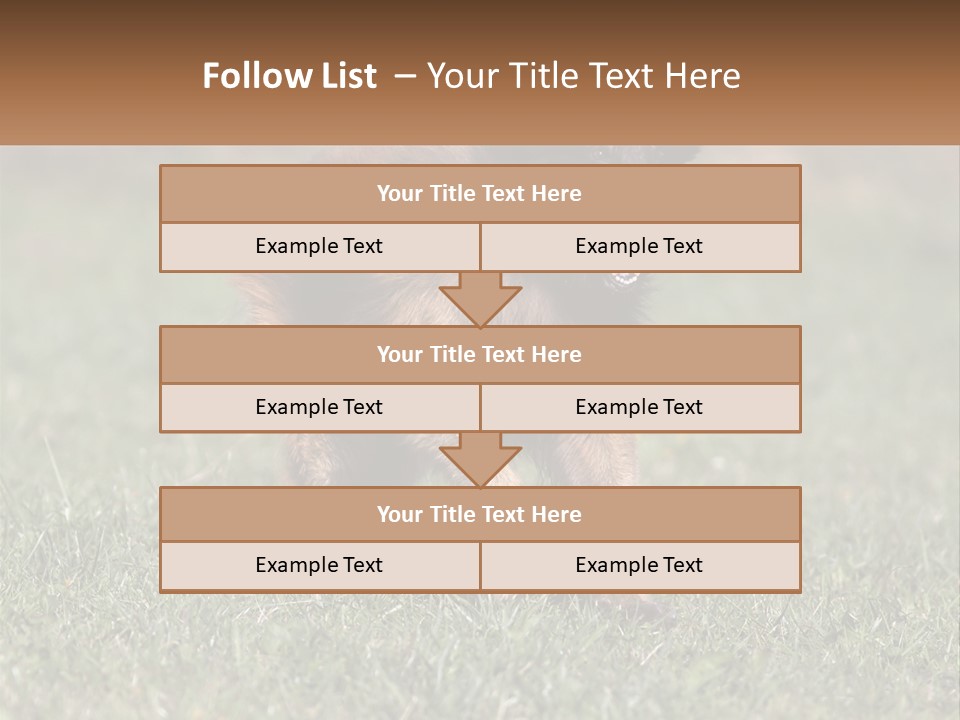 A Brown And Black Dog Standing On Top Of A Lush Green Field PowerPoint Template