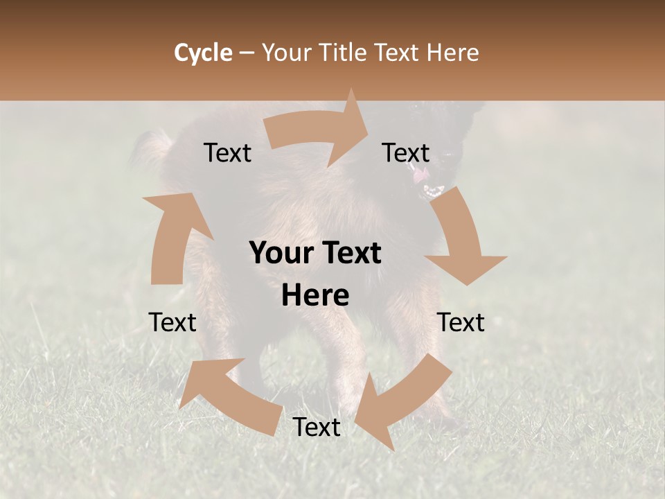 A Brown And Black Dog Standing On Top Of A Lush Green Field PowerPoint Template