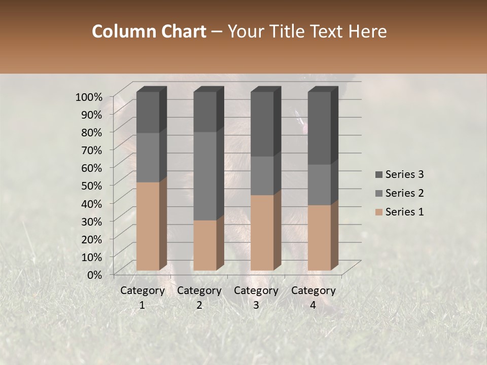 A Brown And Black Dog Standing On Top Of A Lush Green Field PowerPoint Template