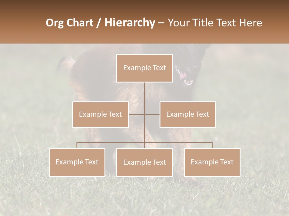 A Brown And Black Dog Standing On Top Of A Lush Green Field PowerPoint Template