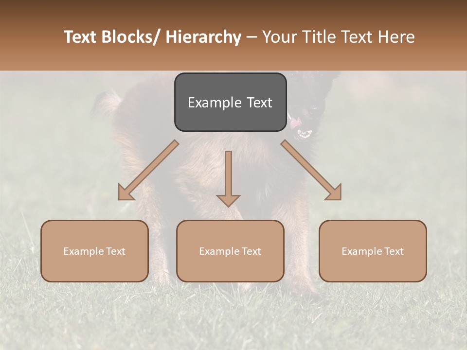 A Brown And Black Dog Standing On Top Of A Lush Green Field PowerPoint Template