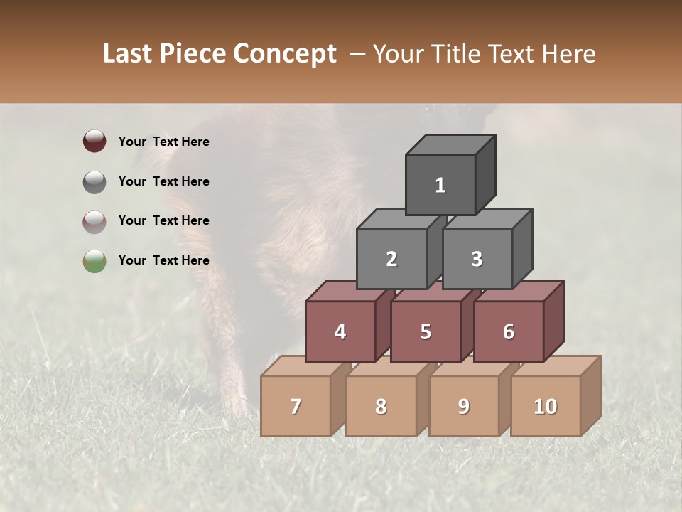 A Brown And Black Dog Standing On Top Of A Lush Green Field PowerPoint Template