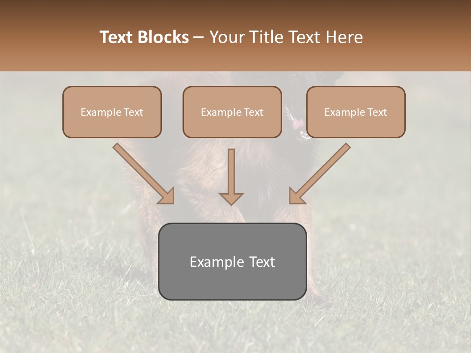 A Brown And Black Dog Standing On Top Of A Lush Green Field PowerPoint Template