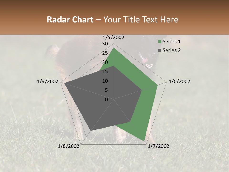 A Brown And Black Dog Standing On Top Of A Lush Green Field PowerPoint Template