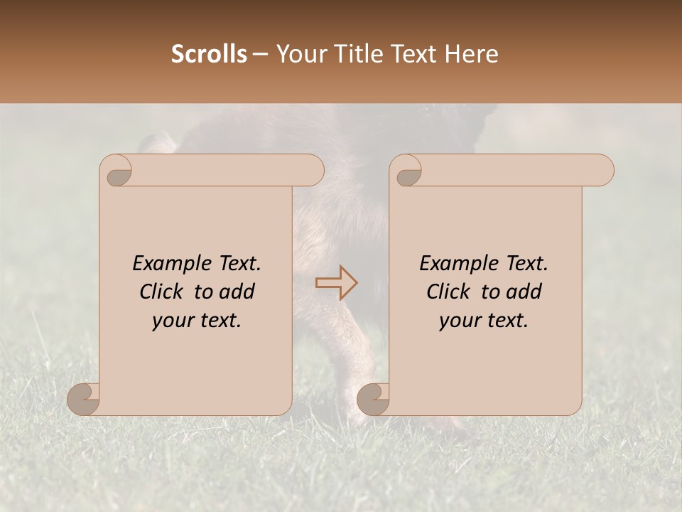 A Brown And Black Dog Standing On Top Of A Lush Green Field PowerPoint Template