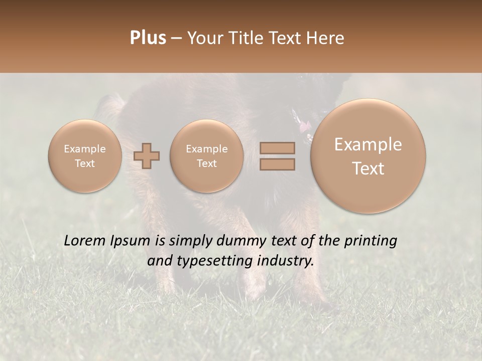 A Brown And Black Dog Standing On Top Of A Lush Green Field PowerPoint Template