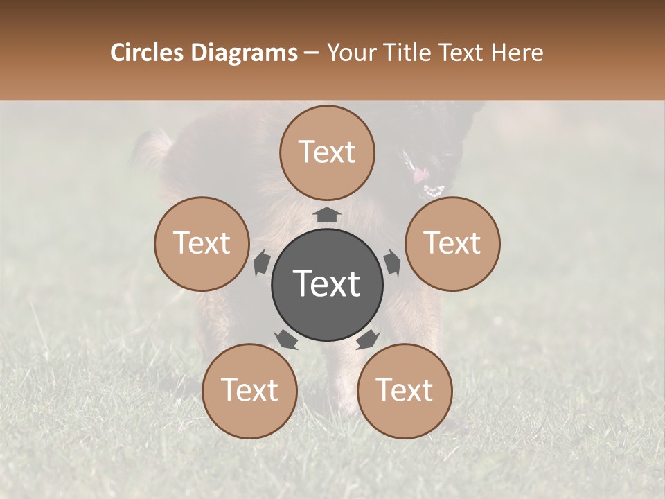 A Brown And Black Dog Standing On Top Of A Lush Green Field PowerPoint Template