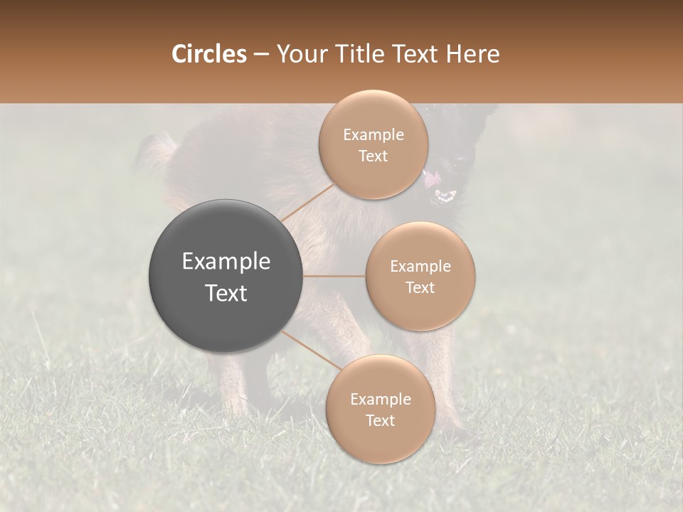 A Brown And Black Dog Standing On Top Of A Lush Green Field PowerPoint Template