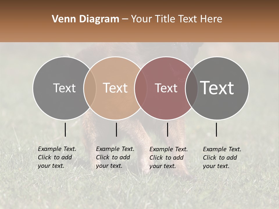 A Brown And Black Dog Standing On Top Of A Lush Green Field PowerPoint Template
