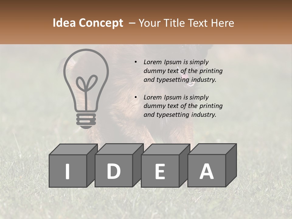 A Brown And Black Dog Standing On Top Of A Lush Green Field PowerPoint Template