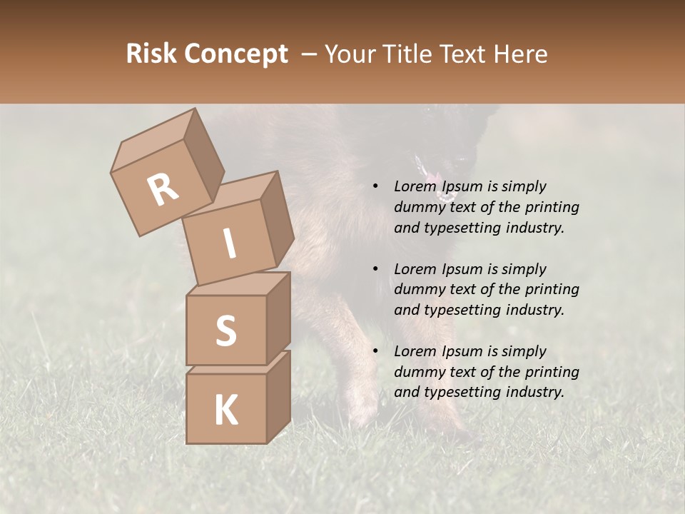 A Brown And Black Dog Standing On Top Of A Lush Green Field PowerPoint Template