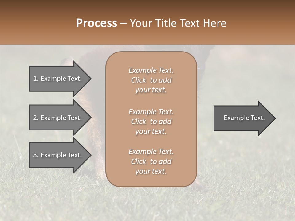 A Brown And Black Dog Standing On Top Of A Lush Green Field PowerPoint Template