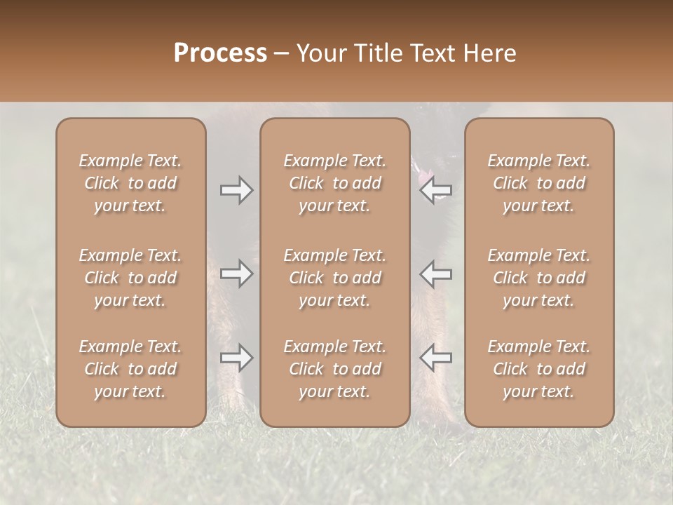 A Brown And Black Dog Standing On Top Of A Lush Green Field PowerPoint Template