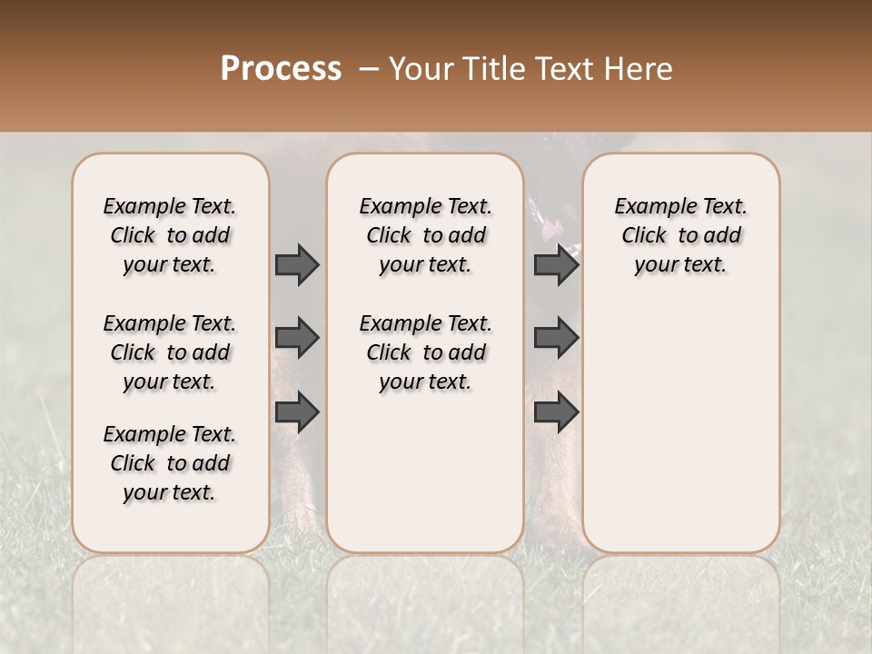 A Brown And Black Dog Standing On Top Of A Lush Green Field PowerPoint Template