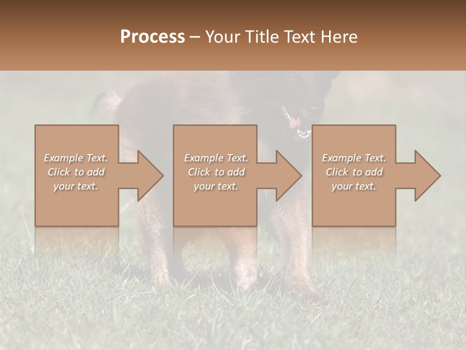 A Brown And Black Dog Standing On Top Of A Lush Green Field PowerPoint Template