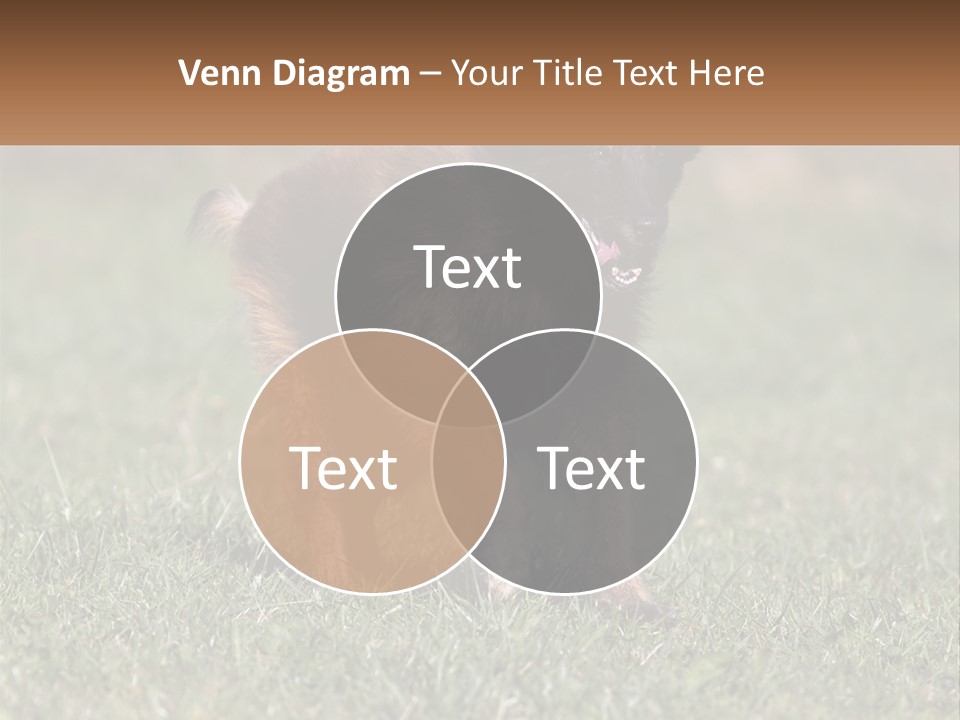 A Brown And Black Dog Standing On Top Of A Lush Green Field PowerPoint Template