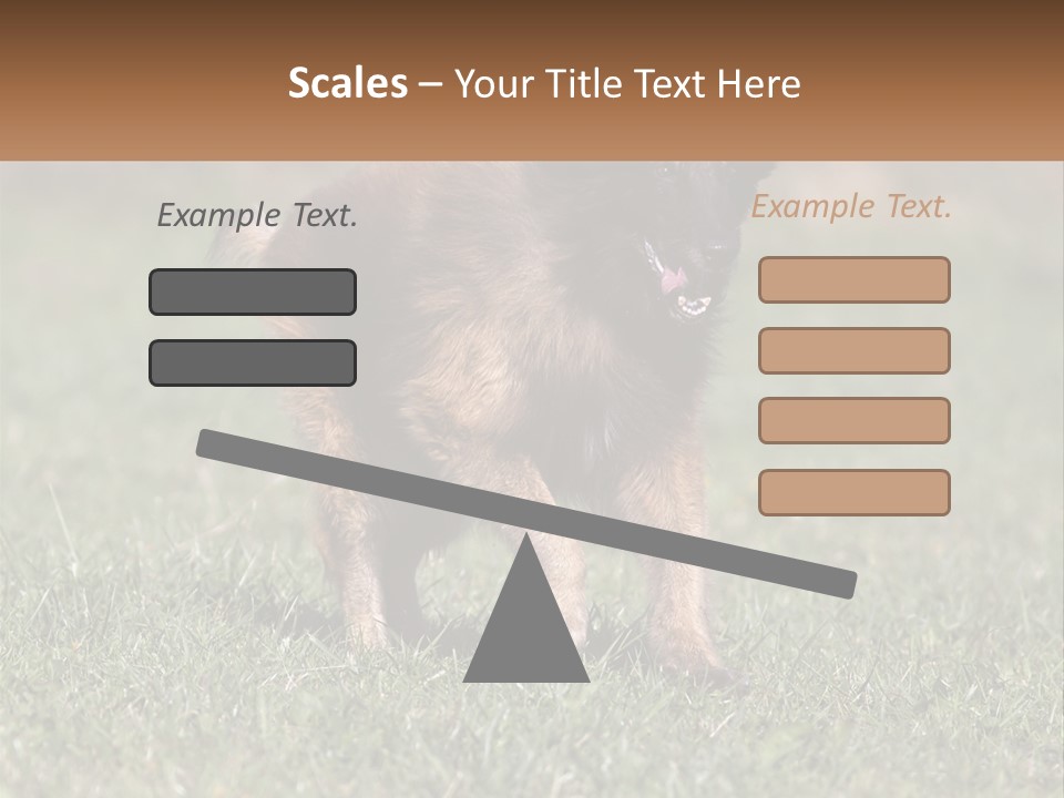 A Brown And Black Dog Standing On Top Of A Lush Green Field PowerPoint Template