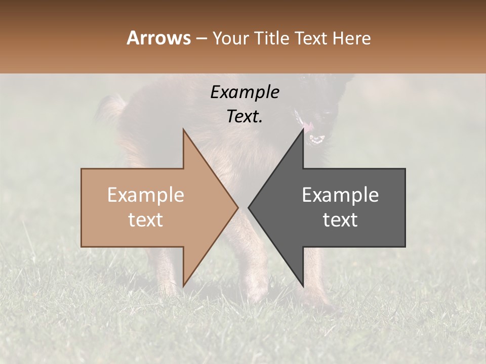 A Brown And Black Dog Standing On Top Of A Lush Green Field PowerPoint Template