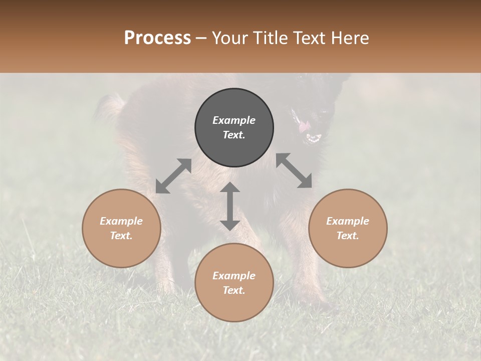 A Brown And Black Dog Standing On Top Of A Lush Green Field PowerPoint Template