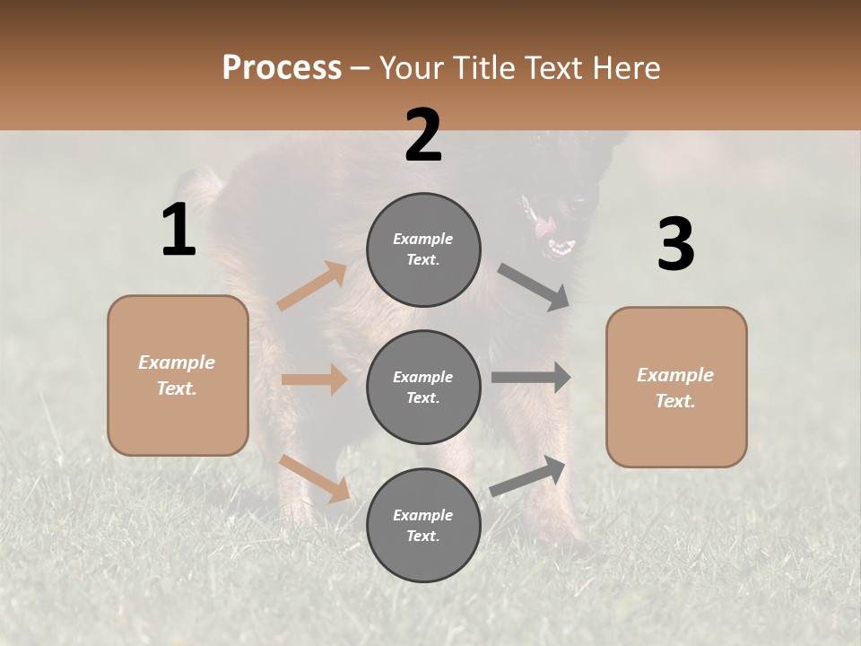 A Brown And Black Dog Standing On Top Of A Lush Green Field PowerPoint Template