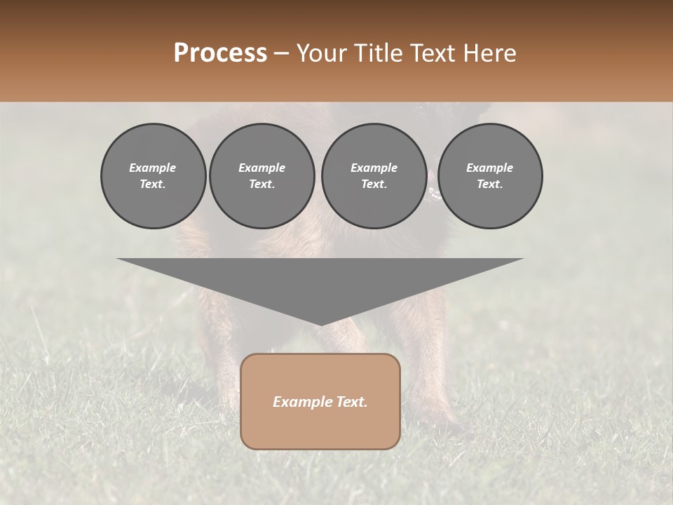 A Brown And Black Dog Standing On Top Of A Lush Green Field PowerPoint Template