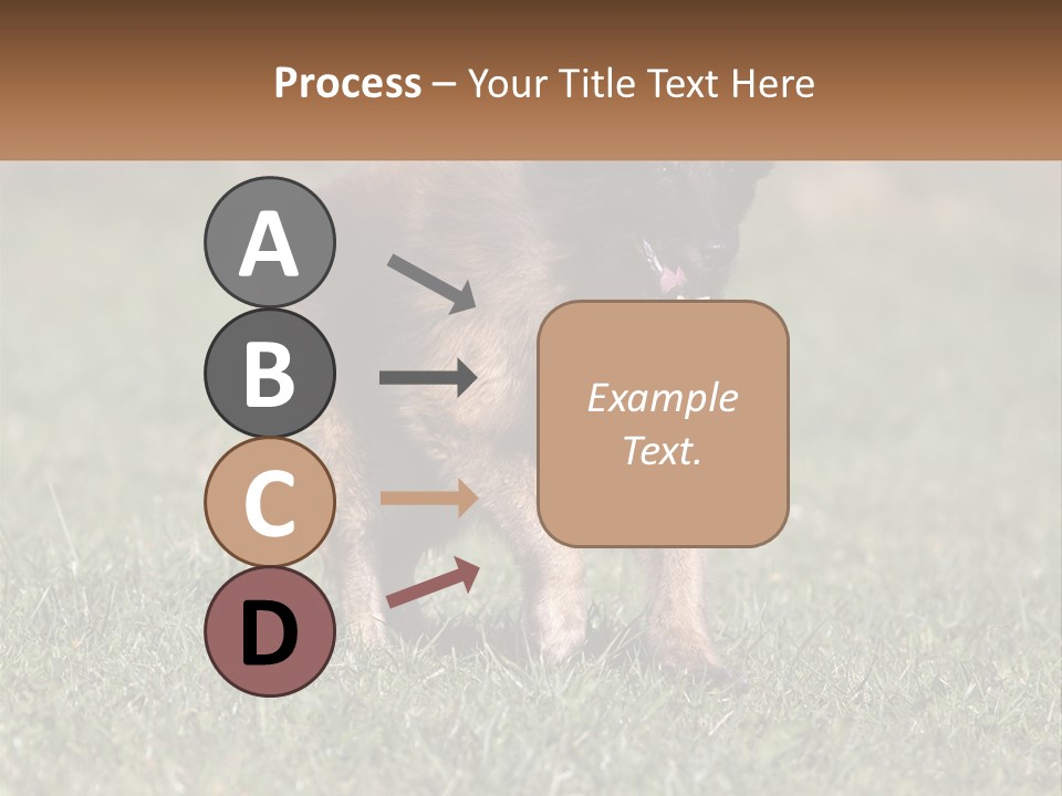 A Brown And Black Dog Standing On Top Of A Lush Green Field PowerPoint Template