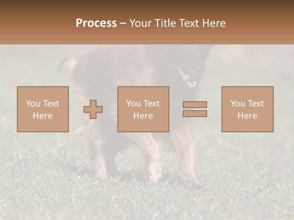 A Brown And Black Dog Standing On Top Of A Lush Green Field PowerPoint Template