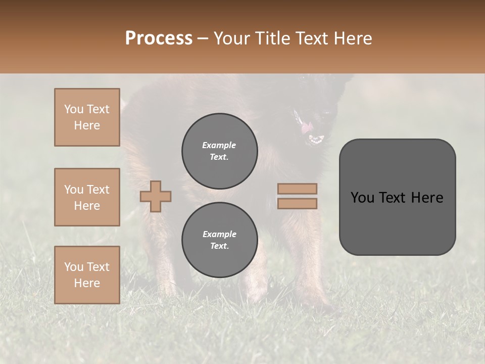 A Brown And Black Dog Standing On Top Of A Lush Green Field PowerPoint Template
